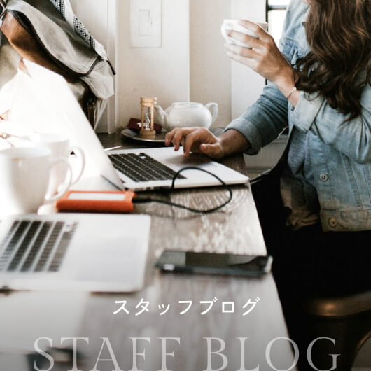 スタッフブログ